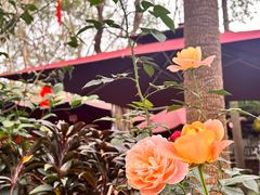 -园林美食城·本土农家菜(杨和镇店)