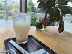-木嘛working coffee&bar(碧道馆店)