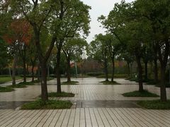 -新江湾城公园