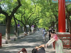-北京国子监胡同