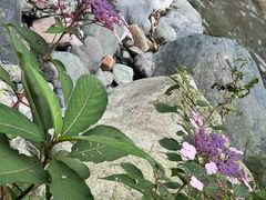 -西岭雪山大飞水景区