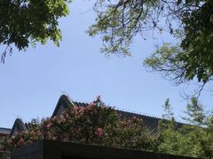-北京国子监胡同