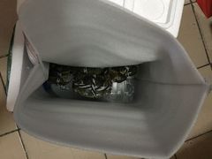 -喜洋洋蟹庄(阳澄湖店)