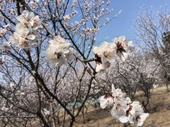 -太阳宫公园