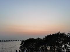 -宝安西湾红树林湿地公园