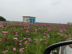-巢湖姥山岛