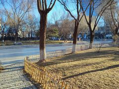 -丰台科技园生态主题公园