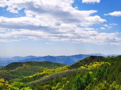 -大觉寺-停车场