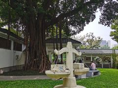 -晓港公园