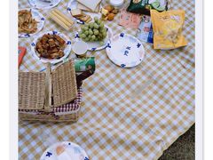 -天适樱花悠乐园