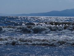 -月亮湾湿地公园
