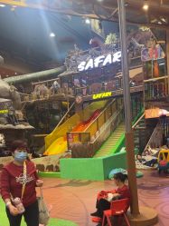 -卡通尼·Safari非洲探索乐园·生日会(金桥国际商业广场店)