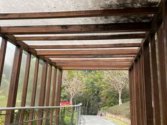 -仙岳公园