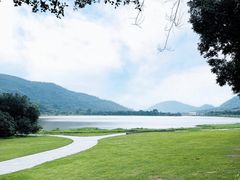 -风云岭森林公园