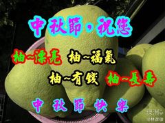 -玩客超乐场(和瑞欢乐城常德店)