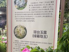 -花之城