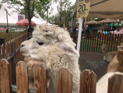 -萌宠亲子动物乐园(槐房万达店)