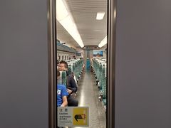 -文府路口(Taiwan High Speed Rail Zuoying Station)