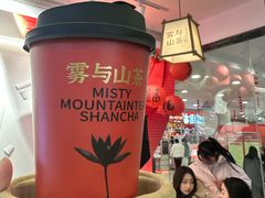 -雾与山茶(大禹城店)