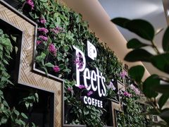门面-Peet's Coffee皮爷咖啡(豫园店)