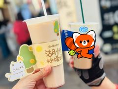 -猫的魔法密林(衣裳街店)