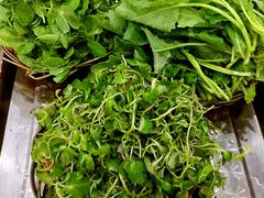 -抚仙湖石锅鱼菌园(明星鱼洞分店)