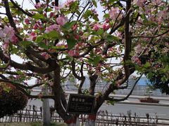 -鹦鹉寺公园