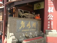 -马六甲鸡场街