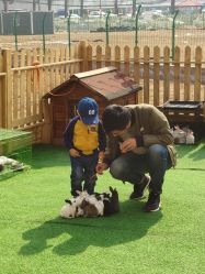 -萌宠亲子动物乐园(槐房万达店)