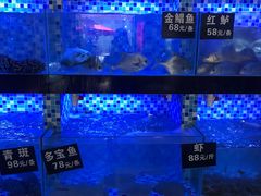 -莲花公园煎蟹(总店)