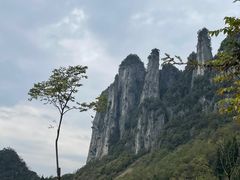 -鹿院坪生态旅游景区