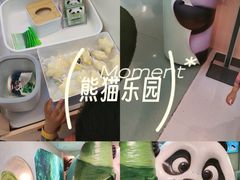 -眉州东坡·熊猫主题餐厅(枫蓝店)