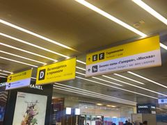 -谢列梅捷沃国际机场