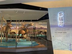 -武汉园博园(武汉自然博物馆)
