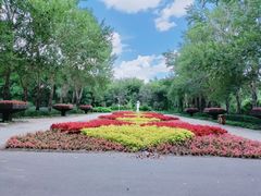 -黑龙江省森林植物园