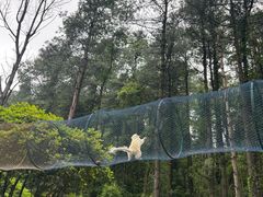 -贵州森林野生动物园