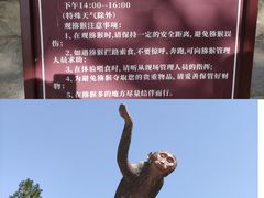 -白帝城·瞿塘峡景区