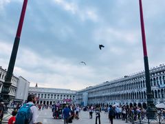 -圣马尔谷圣殿宗主教座堂