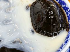 -韵姐牛奶甜品世家