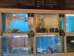 -老村旧煲(江宁金鹰店)