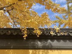 -西园戒幢律寺