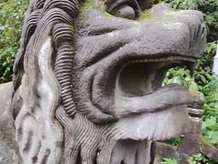-青城山