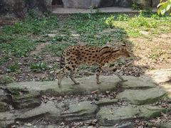 -杭州野生动物世界