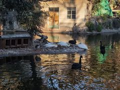 -昆明动物园