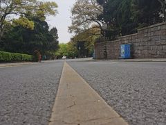 -八大关景区