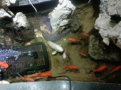 -御轩足道·SPA·养生·保健(瑞金北路店)