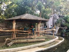 -清迈夜间动物园