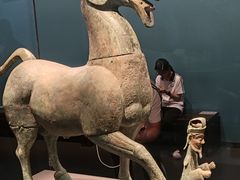 -广西壮族自治区博物馆