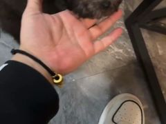 -唐小姐の猫狗洗护·购宠旗舰店(周浦万达店)