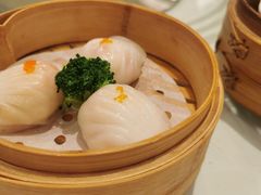 -粤珍轩·家宴·广式茶点(新城广场店)